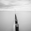 Portobello.1